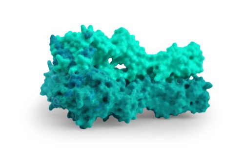 Proteína recombinante